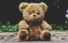 teddy-bear-3599680_640.jpg